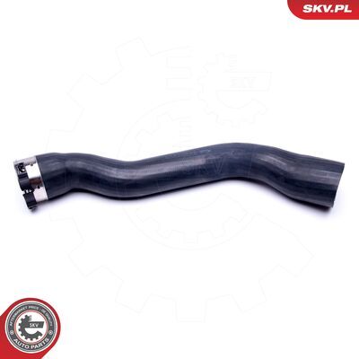 43SKV305