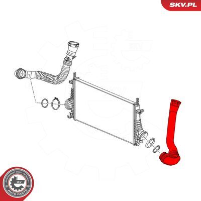 43SKV305