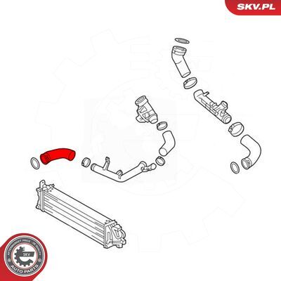 43SKV406
