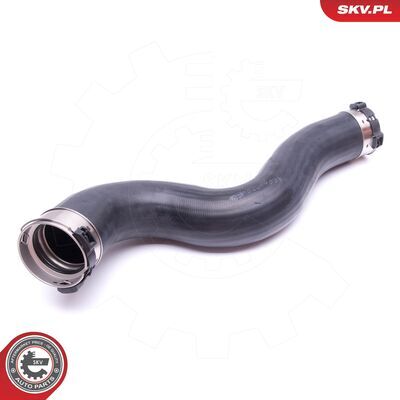 43SKV431