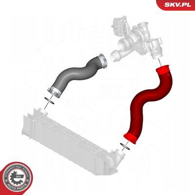 43SKV431