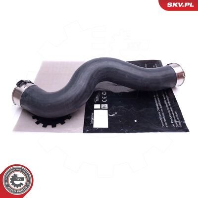 43SKV431
