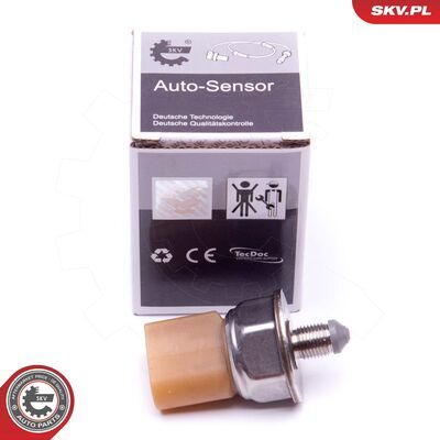 17SKV581