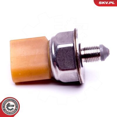 17SKV581