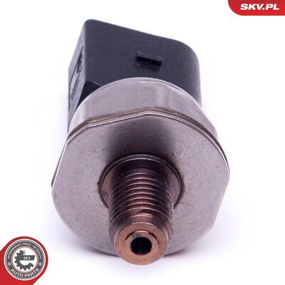 17SKV593