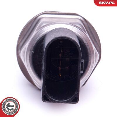 17SKV593