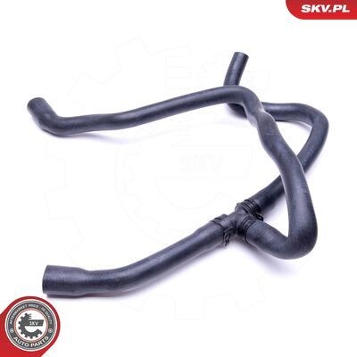 43SKV837