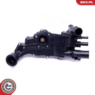 20SKV117
