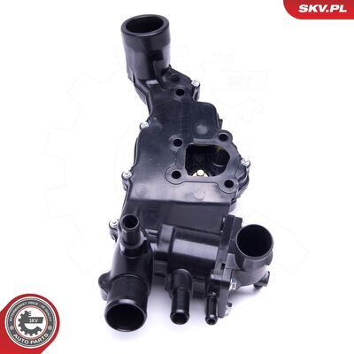 20SKV117