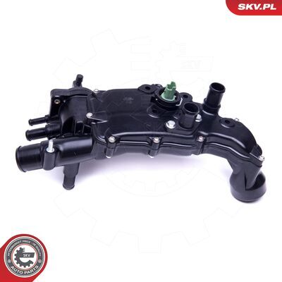 20SKV117