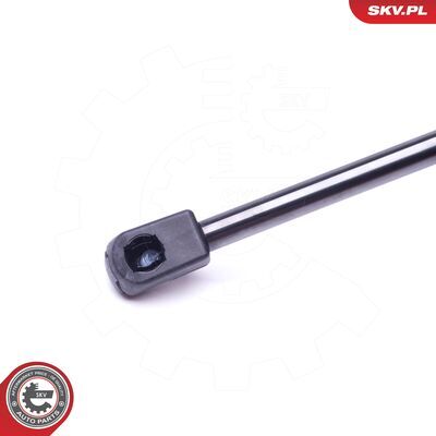 52SKV319