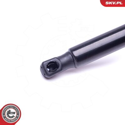 52SKV319