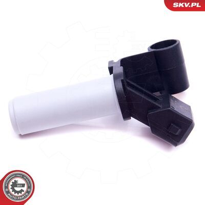 17SKV546