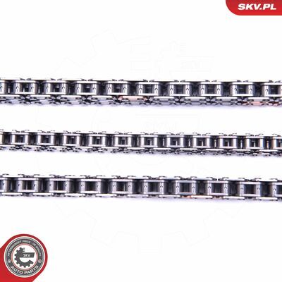 21SKV223