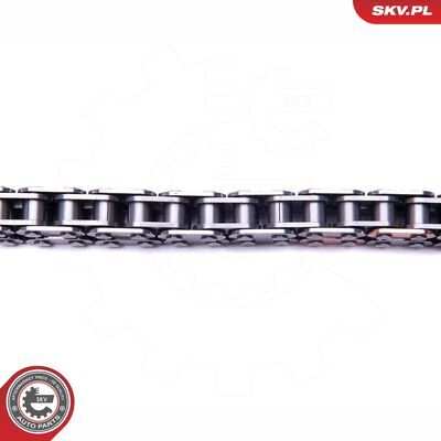 21SKV227