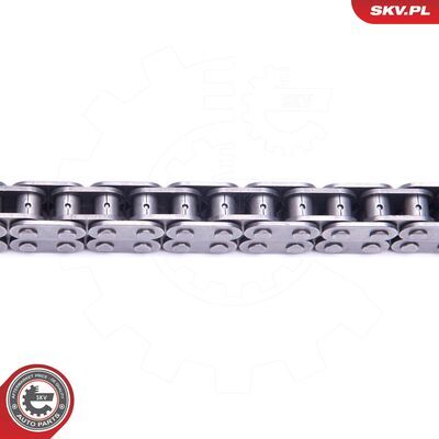 21SKV212