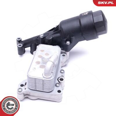 31SKV171