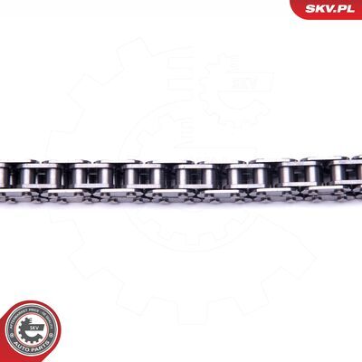 21SKV116
