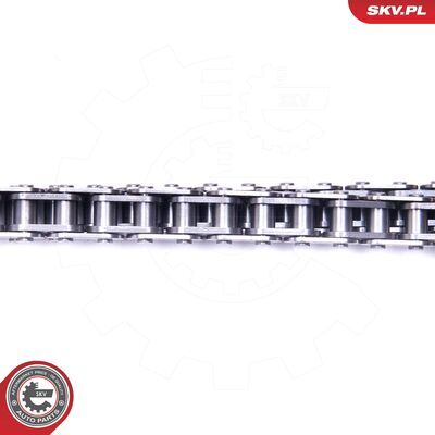 21SKV117