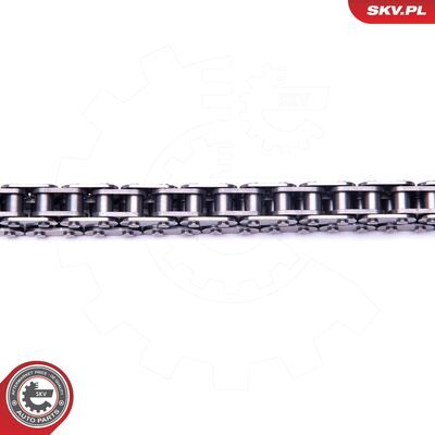 21SKV118