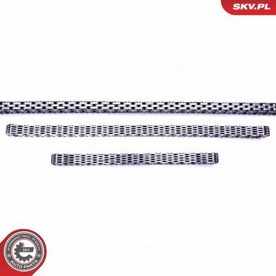 21SKV163