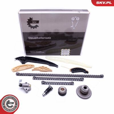 21SKV163