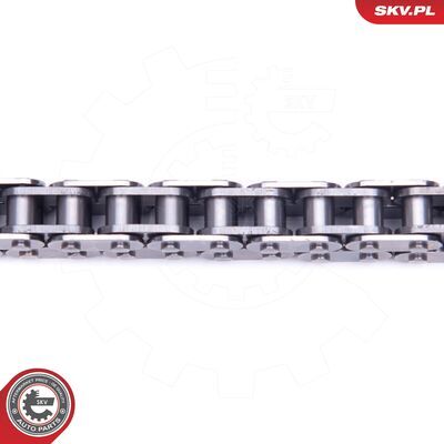21SKV168