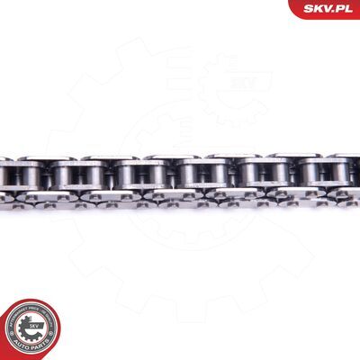21SKV169