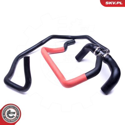 43SKV024