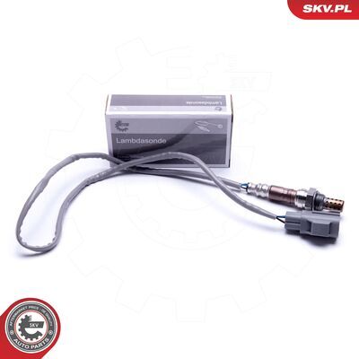 09SKV118