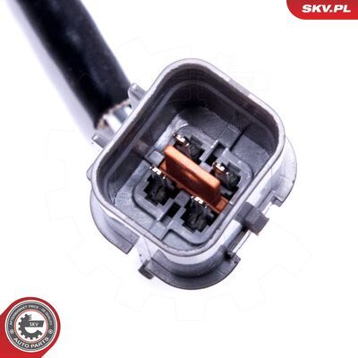 09SKV119