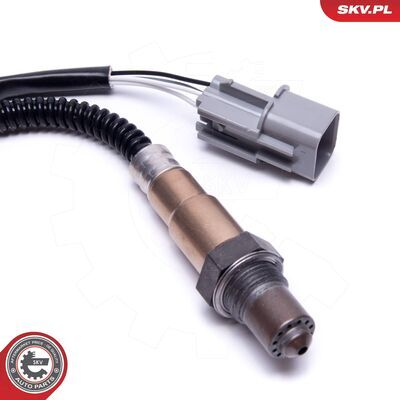 09SKV119