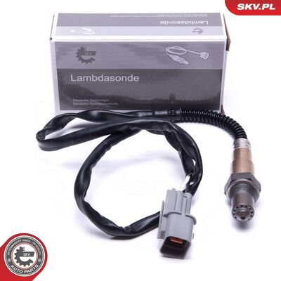 09SKV119