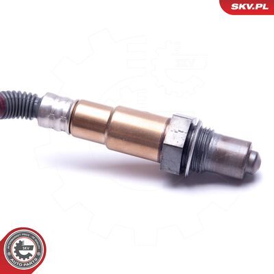 09SKV413
