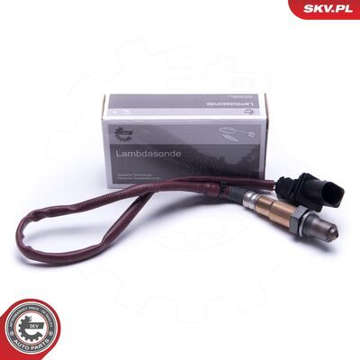 09SKV413