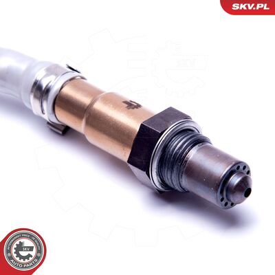 09SKV417