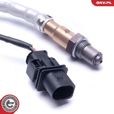 09SKV417