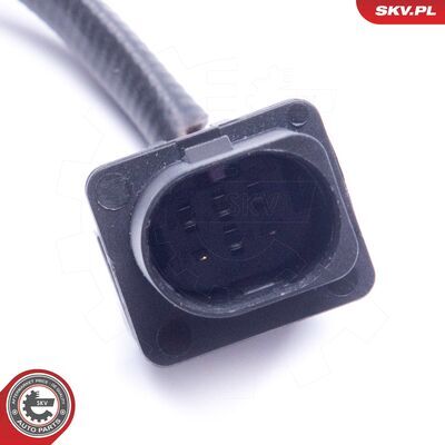 09SKV418