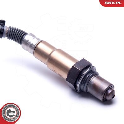 09SKV420