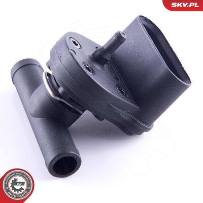 17SKV607