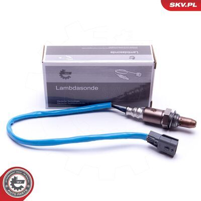 09SKV435