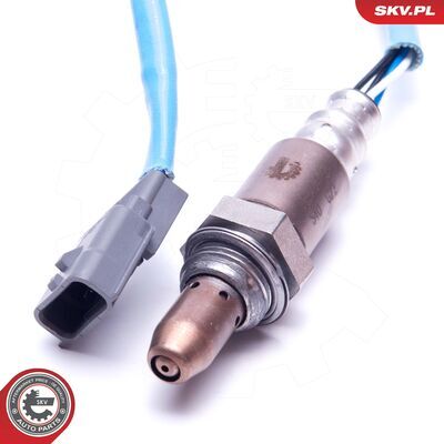 09SKV435