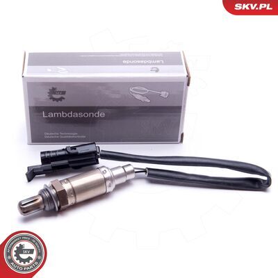09SKV436