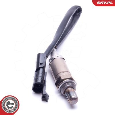 09SKV436