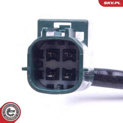 09SKV437