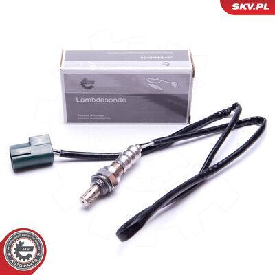 09SKV437