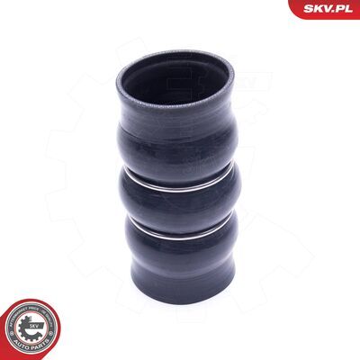 54SKV139