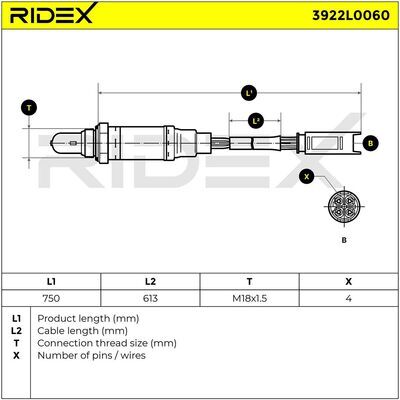 3922L0060