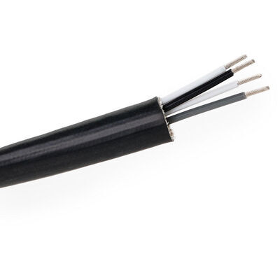 3922L0229