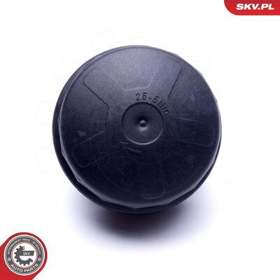 31SKV183